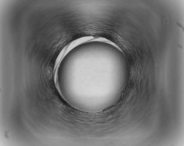 X0000096220043200802081535