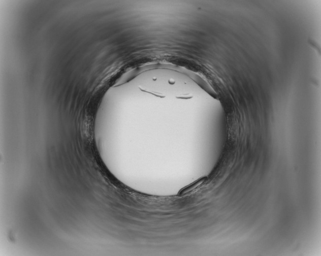 X0000096220044200802081535