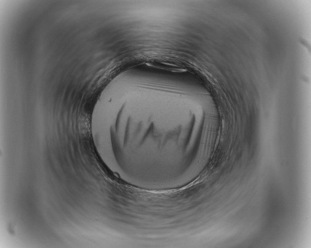 X0000096220048200802081535