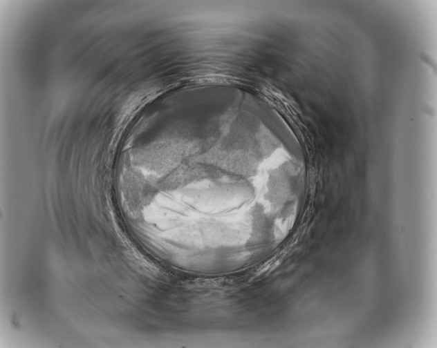 X0000096220049200802081534