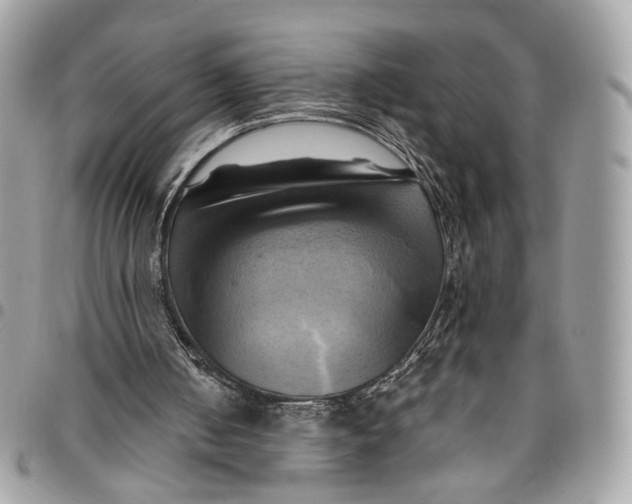 X0000096220050200802081534