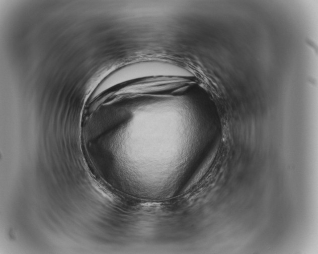 X0000096220052200802081534