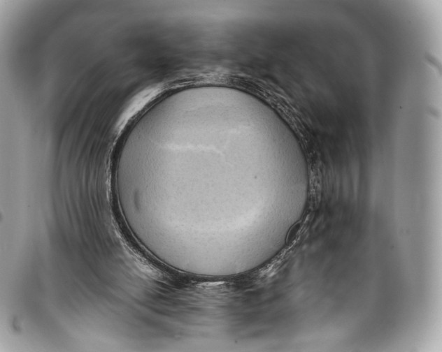 X0000096220054200802081535