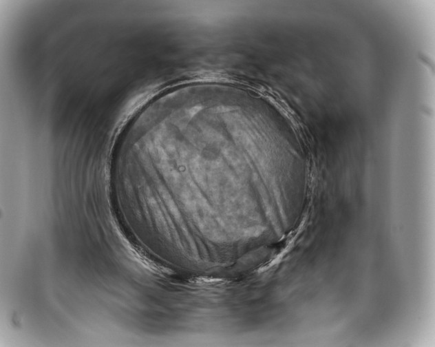 X0000096220055200802081535