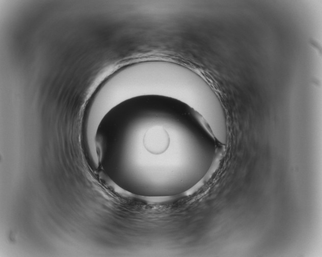 X0000096220056200802081535