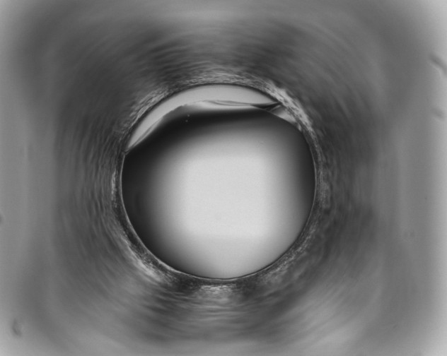 X0000096220057200802081535