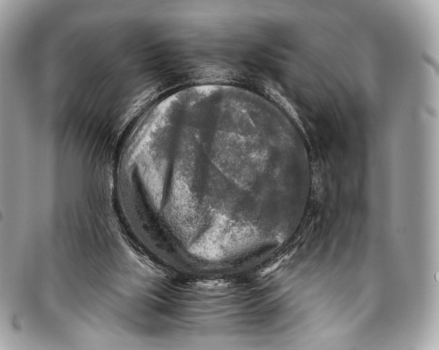 X0000096220059200802081535