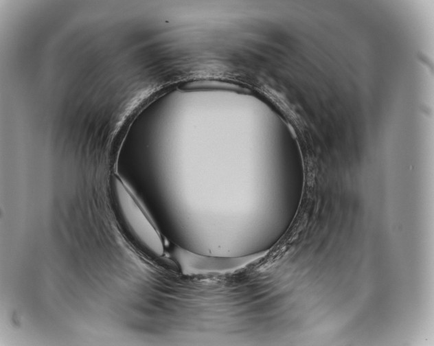 X0000096220060200802081535