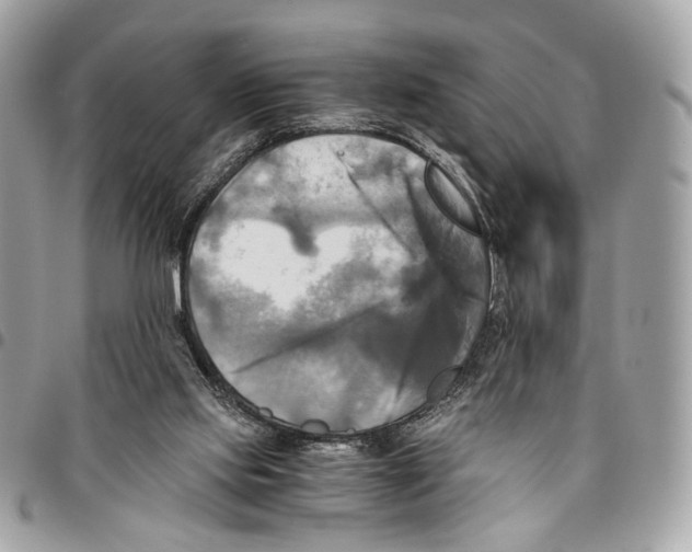 X0000096220061200802081535