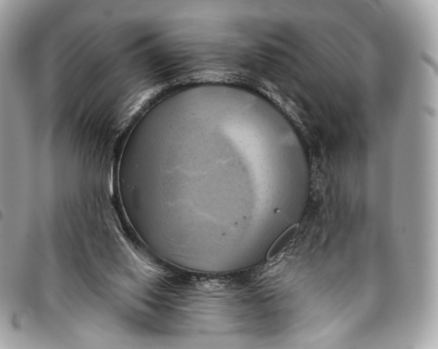 X0000096220062200802081535