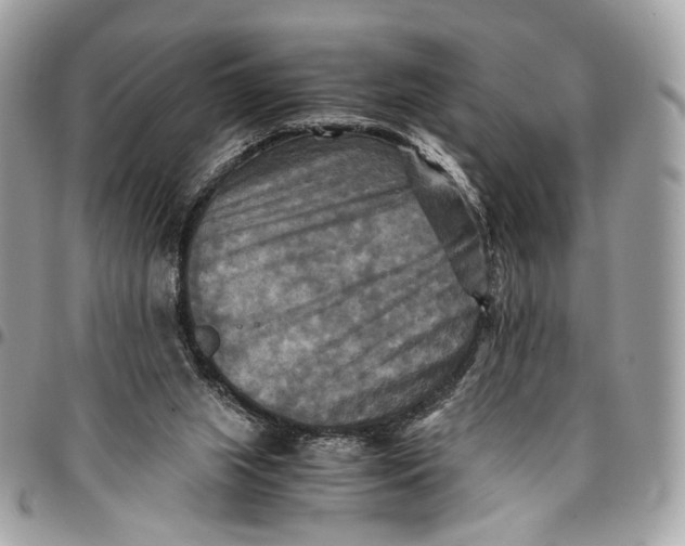 X0000096220063200802081535