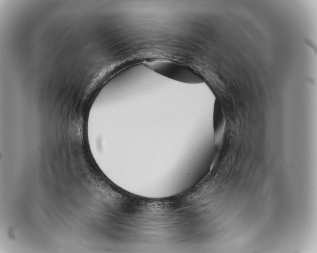 X0000096220064200802081535