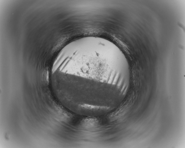 X0000096220067200802081535