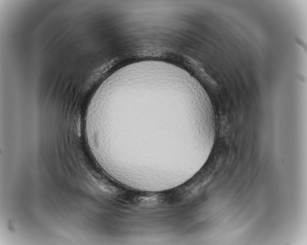 X0000096220068200802081535