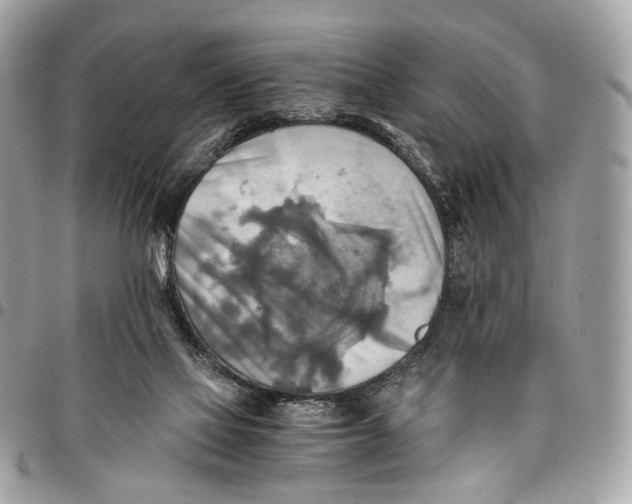 X0000096220069200802081535