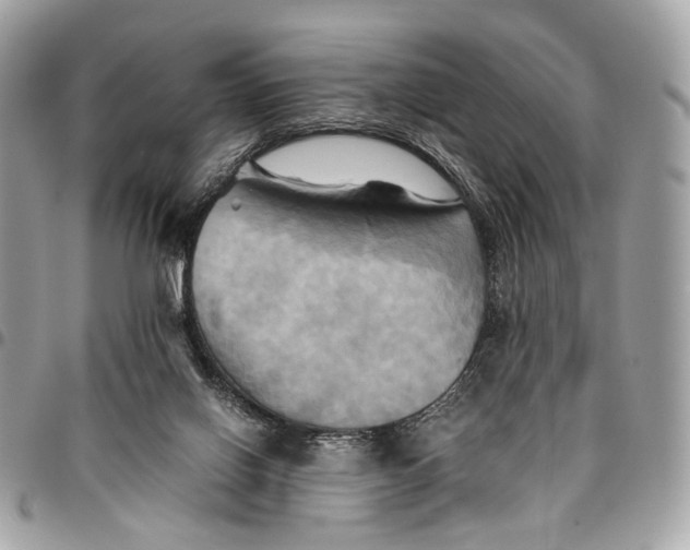 X0000096220070200802081535