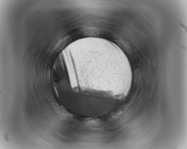 X0000096220073200802081535