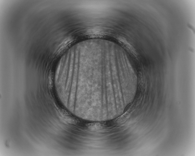 X0000096220074200802081535