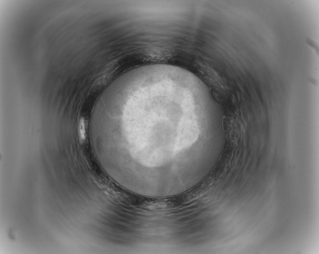 X0000096220075200802081535