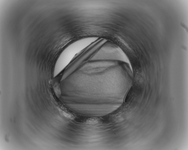 X0000096220076200802081535