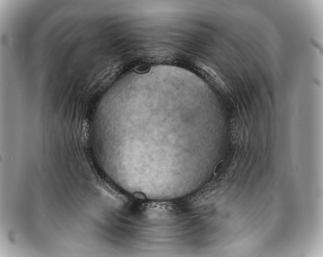 X0000096220077200802081535