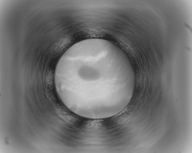 X0000096220078200802081535