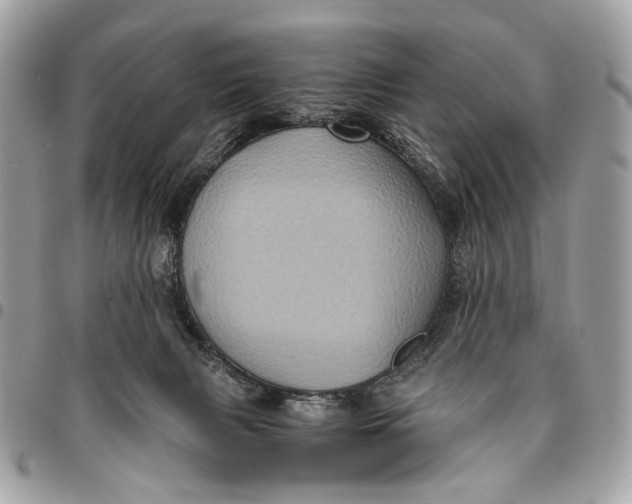 X0000096220079200802081535