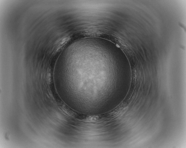 X0000096220080200802081535