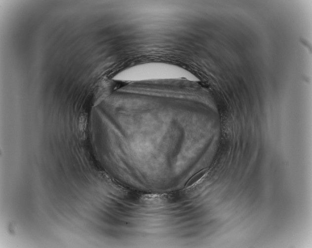 X0000096220082200802081535