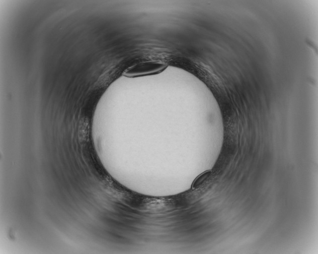 X0000096220083200802081535