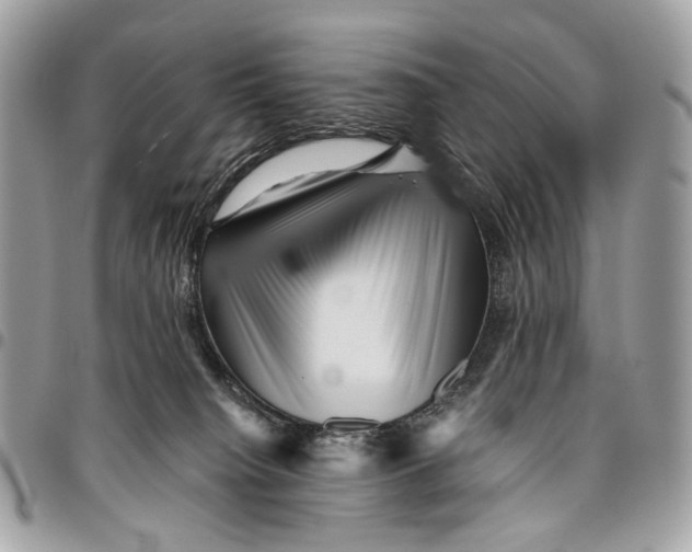 X0000096220084200802081535