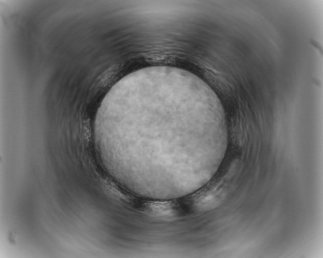 X0000096220085200802081535