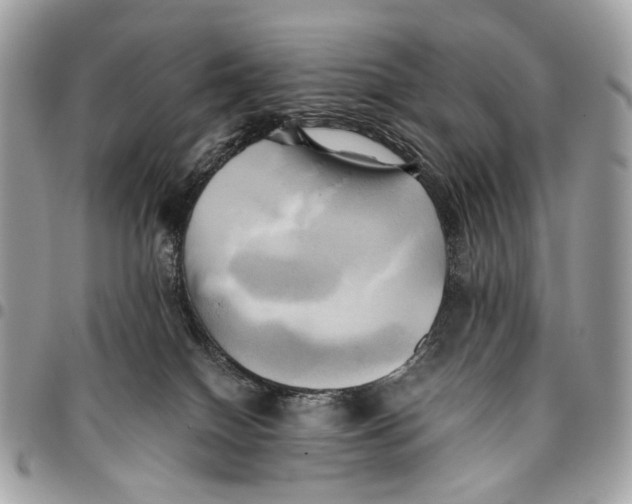 X0000096220086200802081535