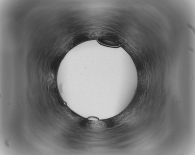 X0000096220087200802081535