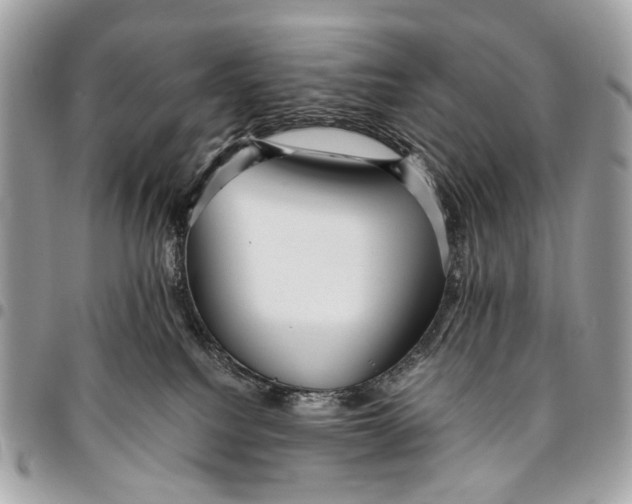 X0000096220088200802081535