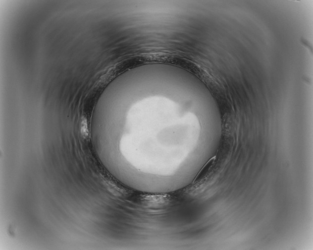 X0000096220089200802081535