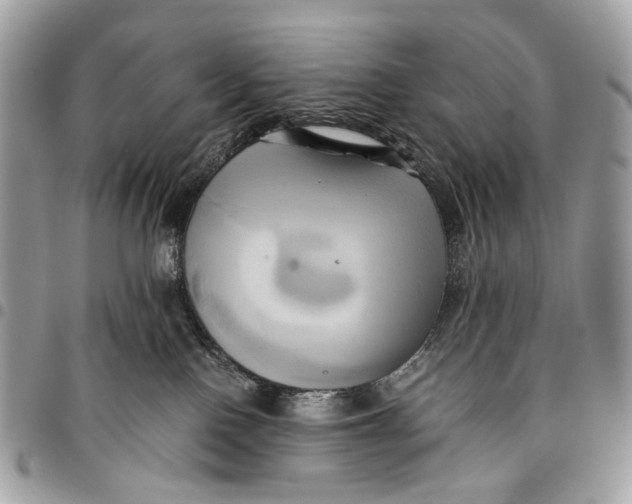 X0000096220090200802081535