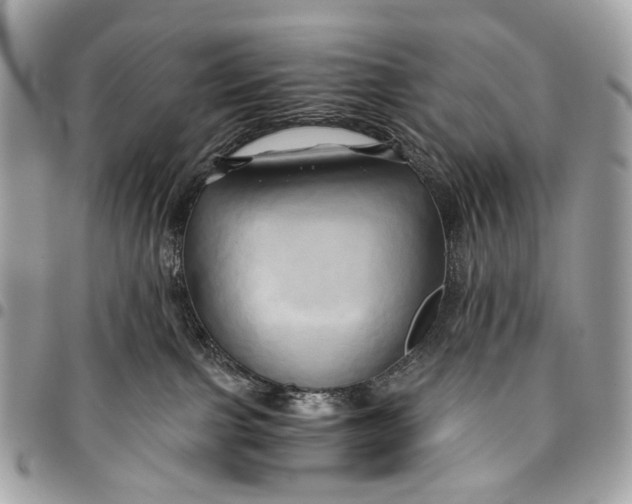 X0000096220091200802081535