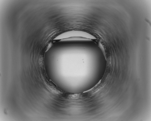 X0000096220092200802081535