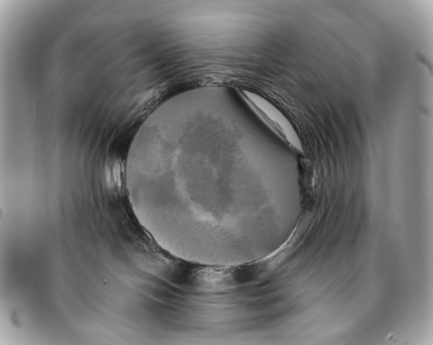 X0000096220094200802081535