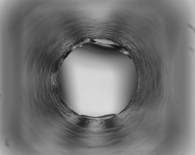 X0000096220096200802081535