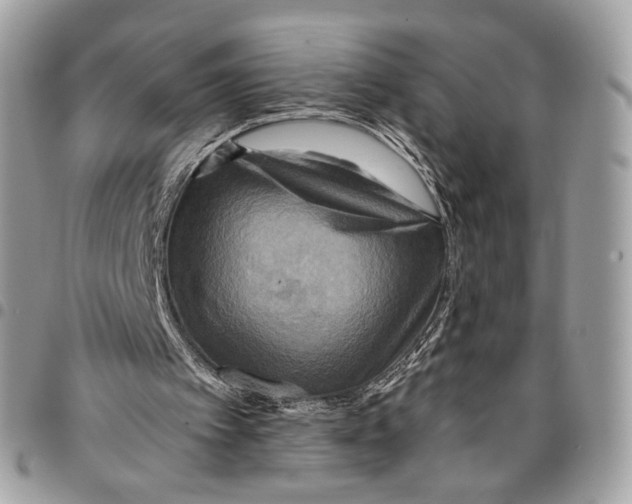 X0000096220097200802081534