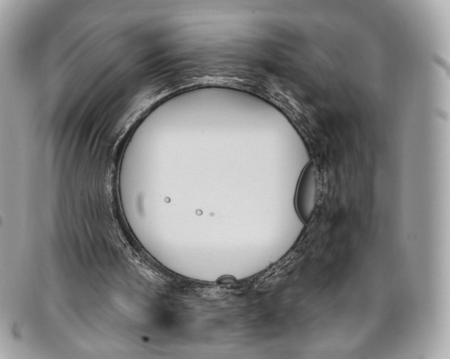 X0000096220098200802081534