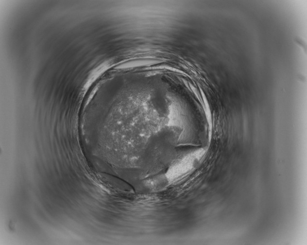 X0000096220099200802081534