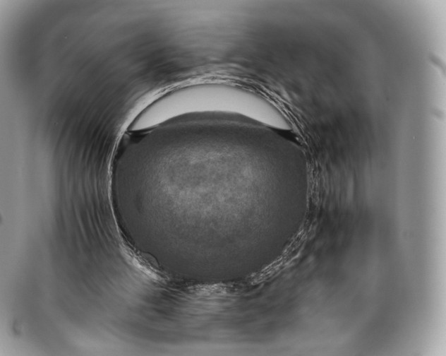 X0000096220100200802081534