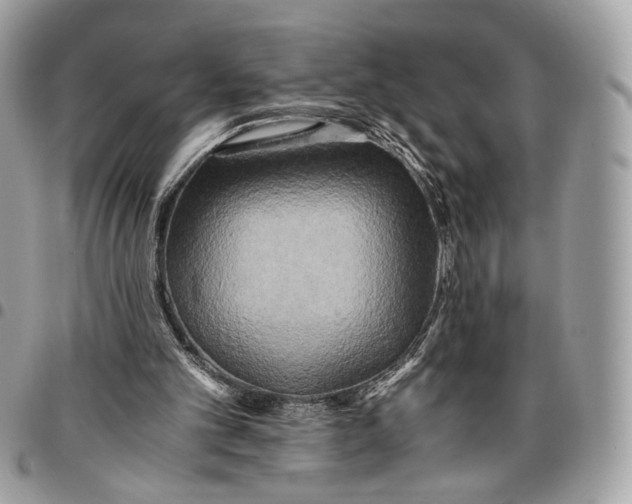 X0000096220101200802081534