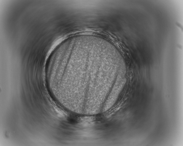 X0000096220102200802081534