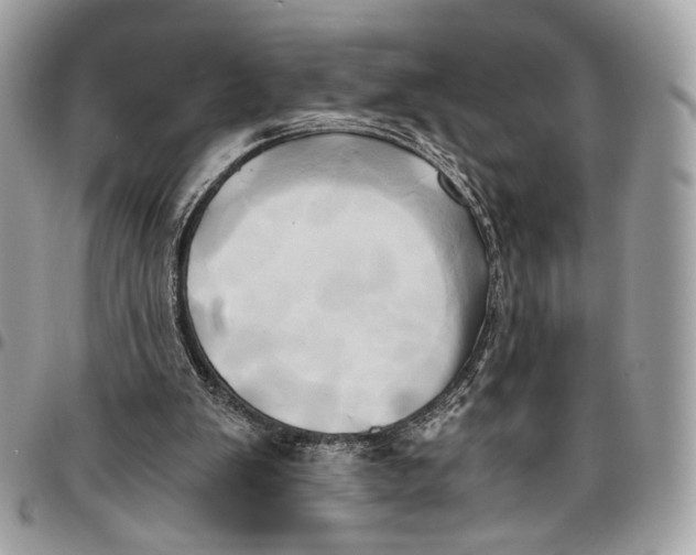 X0000096220103200802081534