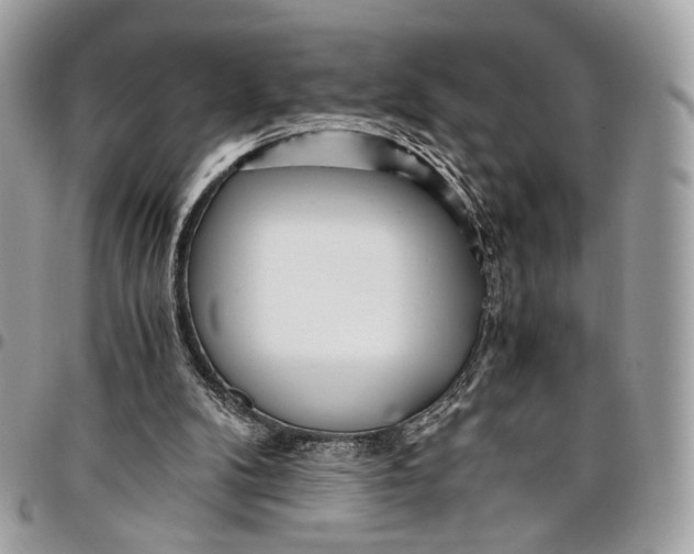 X0000096220104200802081534