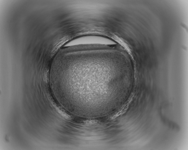 X0000096220105200802081534